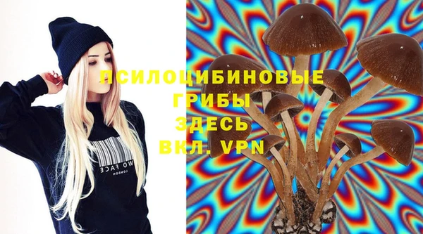 прущая мука Саяногорск