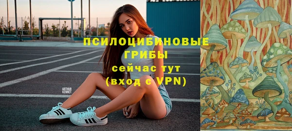 прущая мука Саяногорск