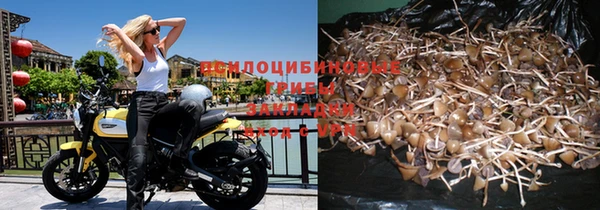 кристаллы Сатка