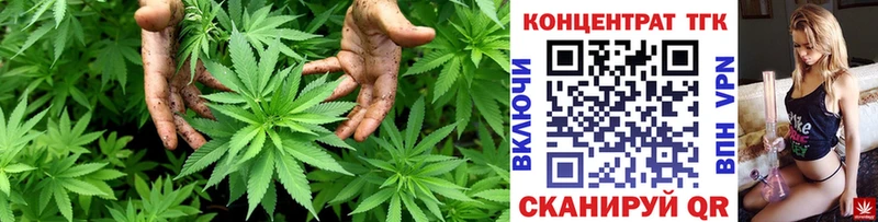 MEGA ONION  Судак  ТГК концентрат  купить наркоту 