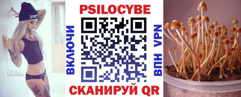 гидра вход  Судак  Псилоцибиновые грибы мухоморы 