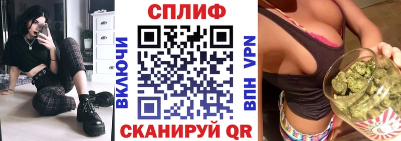 цены   Судак  Бошки марихуана сатива 